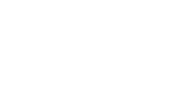 MiniCAPO